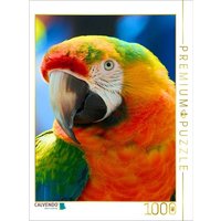 CALVENDO Puzzle Farbenprächtiger Regenbogenara 1000 Teile Lege-Größe 64x48cm Foto-Puzzle für glückliche Stunden von Calvendo