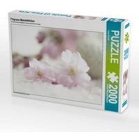 CALVENDO Puzzle Filigrane Mandelblüten 2000 Teile Lege-Größe 90 x 67 cm Foto-Puzzle Bild von Tanja Riedel CALVENDO Puzzle Filigrane Mandelblüten 2000 Teile Lege-Größe 90 x 67 cm Foto-Puzzle Bild von Tanja Riedel von Calvendo