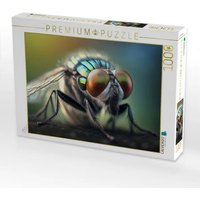 CALVENDO Puzzle Fliege 1000 Teile Lege-Größe 64x48cm Foto-Puzzle für glückliche Stunden von Calvendo