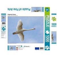 CALVENDO Puzzle Fliegender Schwan 1000 Teile Lege-Größe 640 x 480 cm Foto-Puzzle Bild von Siegfried Kuttig CALVENDO Puzzle Fliegender Schwan 1000 Teile Lege-Größe 640 x 480 cm Foto-Puzzle Bild von Siegfried Kuttig von Calvendo