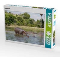 CALVENDO Puzzle Flusspferde 2000 Teile Lege-Größe 90 x 67 cm Foto-Puzzle Bild von Flori0 CALVENDO Puzzle Flusspferde 2000 Teile Lege-Größe 90 x 67 cm Foto-Puzzle Bild von Flori0 von Calvendo