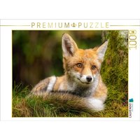 CALVENDO Puzzle Fuchs 1000 Teile Lege-Größe 64x48cm Foto-Puzzle für glückliche Stunden CALVENDO Puzzle Fuchs 1000 Teile Lege-Größe 64x48cm Foto-Puzzle für glückliche Stunden von Calvendo