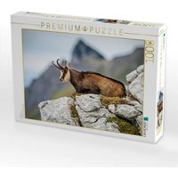 CALVENDO Puzzle Gämse 1000 Teile Lege-Größe 64x48cm Foto-Puzzle für glückliche Stunden CALVENDO Puzzle Gämse 1000 Teile Lege-Größe 64x48cm Foto-Puzzle für glückliche Stunden von Calvendo