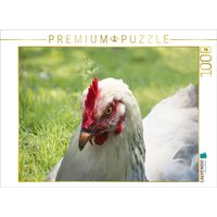 CALVENDO Puzzle Glückliche Freilandhühner 1000 Teile Lege-Größe 64x48cm Foto-Puzzle für glückliche Stunden von Calvendo