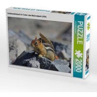 CALVENDO Puzzle Goldmantelziesel im Crater Lake Nationalpark (USA) 2000 Teile Lege-Größe 90 x 67 cm Foto-Puzzle Bild von Jana Thiem-Eberitsch von Calvendo