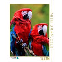 CALVENDO Puzzle Grünflügelara Pärchen 1000 Teile Lege-Größe 64x48cm Foto-Puzzle für glückliche Stunden von Calvendo