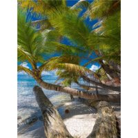 CALVENDO Puzzle Isla Saona 1000 Teile Puzzle hoch 1000 Teile Lege-Größe 64 × 48 cm Foto-Puzzle für glückliche Stunden von Calvendo Puzzle