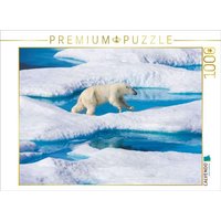 CALVENDO Puzzle Junger Eisbär springt von Eisscholle zu Eisscholle 1000 Teile Lege-Größe 64x48cm Foto-Puzzle für glückliche Stunden von Calvendo