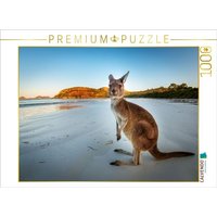 CALVENDO Puzzle Känguru 1000 Teile Lege-Größe 64x48cm Foto-Puzzle für glückliche Stunden CALVENDO Puzzle Känguru 1000 Teile Lege-Größe 64x48cm Foto-Puzzle für glückliche Stunden von Calvendo