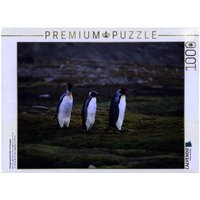 CALVENDO Puzzle Königspinguinpärchen mit Jungem 1000 Teile Lege-Größe 64x48cm Foto-Puzzle für glückliche Stunden von Calvendo