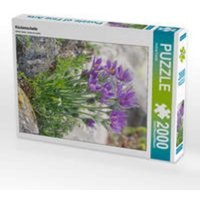 CALVENDO Puzzle Küchenschelle 2000 Teile Lege-Größe 67 x 90 cm Foto-Puzzle Bild von Andrea Potratz CALVENDO Puzzle Küchenschelle 2000 Teile Lege-Größe 67 x 90 cm Foto-Puzzle Bild von Andrea Potratz von Calvendo