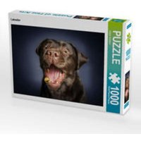 CALVENDO Puzzle Labrador 1000 Teile Lege-Größe 64 x 48 cm Foto-Puzzle Bild von Jürgen Schöberl CALVENDO Puzzle Labrador 1000 Teile Lege-Größe 64 x 48 cm Foto-Puzzle Bild von Jürgen Schöberl von Calvendo