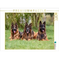 CALVENDO Puzzle Langstockhaar - Schäferhunde Trio 1000 Teile Lege-Größe 64x48cm Foto-Puzzle für glückliche Stunden von Calvendo