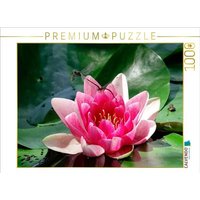 CALVENDO Puzzle Libellen an einer Seerose 1000 Teile Lege-Größe 64x48cm Foto-Puzzle für glückliche Stunden von Calvendo