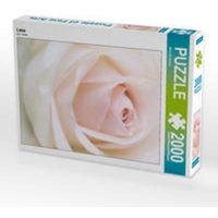 CALVENDO Puzzle Liebe 2000 Teile Lege-Größe 67 x 90 cm Foto-Puzzle Bild von Nina Schwarze CALVENDO Puzzle Liebe 2000 Teile Lege-Größe 67 x 90 cm Foto-Puzzle Bild von Nina Schwarze von Calvendo
