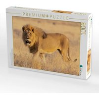 CALVENDO Puzzle Löwenmännchen im Etosha Nationalpark 1000 Teile Lege-Größe 64x48cm Foto-Puzzle für glückliche Stunden von Calvendo