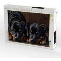CALVENDO Puzzle Majestätische Rottweiler - Voller Kraft und Loyalität 1000 Teile Lege-Größe 64x48cm Foto-Puzzle für glückliche Stunden von Calvendo