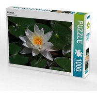 CALVENDO Puzzle Malerisch 1000 Teile Lege-Größe 64x48cm Foto-Puzzle für glückliche Stunden von Calvendo