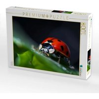 CALVENDO Puzzle Marienkäfer 1000 Teile Lege-Größe 64x48cm Foto-Puzzle für glückliche Stunden von Calvendo