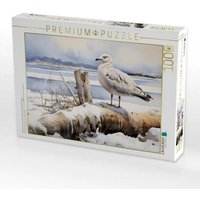 CALVENDO Puzzle Mit der Fähre zur InselEine Möwe wartet auf den Frühling 1000 Teile Lege-Größe 64x48cm Foto-Puzzle für glückliche Stunden CALVENDO Puzzle Mit der Fähre zur InselEine Möwe wartet auf den Frühling 1000 Teile Lege-Größe 64x48cm Foto-Puzzle für glückliche Stunden von Calvendo