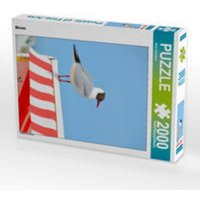 CALVENDO Puzzle Möwen 2000 Teile Lege-Größe 67 x 90 cm Foto-Puzzle Bild von Nina Schwarze CALVENDO Puzzle Möwen 2000 Teile Lege-Größe 67 x 90 cm Foto-Puzzle Bild von Nina Schwarze von Calvendo