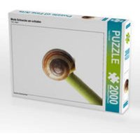CALVENDO Puzzle Müde Schnecke am schlafen 2000 Teile Lege-Größe 90 x 67 cm Foto-Puzzle Bild von Tanja Riedel von CALVENDO V