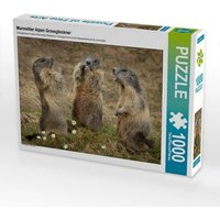 CALVENDO Puzzle Murmeltierversammlung 1000 Teile Lege-Größe 64x48cm Foto-Puzzle für glückliche Stunden CALVENDO Puzzle Murmeltierversammlung 1000 Teile Lege-Größe 64x48cm Foto-Puzzle für glückliche Stunden von Calvendo