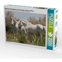 CALVENDO Puzzle Natürliches Pferdeleben in der Camargue: Hengst und Stute 2000 Teile Lege-Größe 90 x 67 cm Foto-Puzzle Bild von Meike Bölts CALVENDO Puzzle Natürliches Pferdeleben in der Camargue: Hengst und Stute 2000 Teile Lege-Größe 90 x 67 cm Foto-Puzzle Bild von Meike Bölts von Calvendo