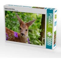CALVENDO Puzzle Rehkitz mit lila Blüten 2000 Teile Lege-Größe 90 x 67 cm Foto-Puzzle Bild von Sabine Löwer CALVENDO Puzzle Rehkitz mit lila Blüten 2000 Teile Lege-Größe 90 x 67 cm Foto-Puzzle Bild von Sabine Löwer von Calvendo