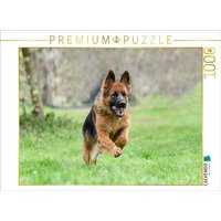 CALVENDO Puzzle Schäferhündin 1000 Teile Lege-Größe 64x48cm Foto-Puzzle für glückliche Stunden von Calvendo