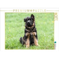 CALVENDO Puzzle Schäferhund - Welpe Hündin 1000 Teile Lege-Größe 64x48cm Foto-Puzzle für glückliche Stunden CALVENDO Puzzle Schäferhund - Welpe Hündin 1000 Teile Lege-Größe 64x48cm Foto-Puzzle für glückliche Stunden von Calvendo