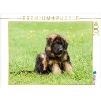 CALVENDO Puzzle Schäferhund - Welpe Rüde 1000 Teile Lege-Größe 64x48cm Foto-Puzzle für glückliche Stunden von Calvendo