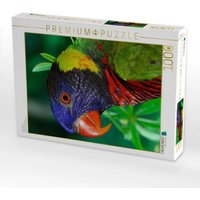 CALVENDO Puzzle Schmucklori 1000 Teile Lege-Größe 64x48cm Foto-Puzzle für glückliche Stunden von Calvendo