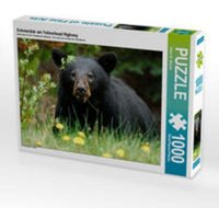 CALVENDO Puzzle Schwarzbär am Yellowhead Highway 1000 Teile Lege-Größe 64 x 48 cm Foto-Puzzle Bild von Dieter-M. Wilczek CALVENDO Puzzle Schwarzbär am Yellowhead Highway 1000 Teile Lege-Größe 64 x 48 cm Foto-Puzzle Bild von Dieter-M. Wilczek von Calvendo
