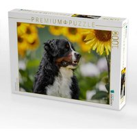 CALVENDO Puzzle Sonnenblumenzeit 1000 Teile Lege-Größe 64x48cm Foto-Puzzle für glückliche Stunden von Calvendo