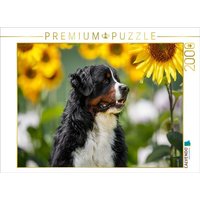 CALVENDO Puzzle Sonnenblumenzeit 2000 Teile Lege-Größe 90x67cm Foto-Puzzle für glückliche Stunden von Calvendo
