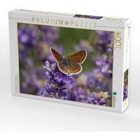 CALVENDO Puzzle Sonnenröschenbläuling auf Lavendel 1000 Teile Lege-Größe 64x48cm Foto-Puzzle für glückliche Stunden CALVENDO Puzzle Sonnenröschenbläuling auf Lavendel 1000 Teile Lege-Größe 64x48cm Foto-Puzzle für glückliche Stunden von Calvendo