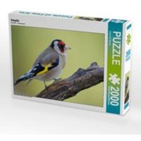 CALVENDO Puzzle Stieglitz 2000 Teile Lege-Größe 90 x 67 cm Foto-Puzzle Bild von Dieter-M. Wilczek CALVENDO Puzzle Stieglitz 2000 Teile Lege-Größe 90 x 67 cm Foto-Puzzle Bild von Dieter-M. Wilczek von Calvendo