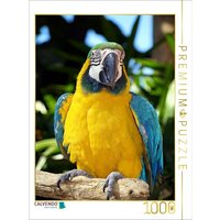 CALVENDO Puzzle Stolzer Gelbbrustara 1000 Teile Lege-Größe 64x48cm Foto-Puzzle für glückliche Stunden von Calvendo