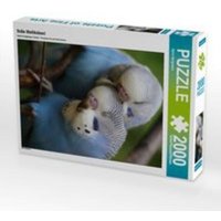 CALVENDO Puzzle Süße Welliküken! 2000 Teile Lege-Größe 67 x 90 cm Foto-Puzzle Bild von Björn Bergmann CALVENDO Puzzle Süße Welliküken! 2000 Teile Lege-Größe 67 x 90 cm Foto-Puzzle Bild von Björn Bergmann von Calvendo
