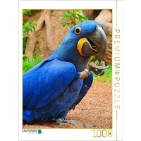 CALVENDO Puzzle Verspielter Hyazinth-Ara 1000 Teile Lege-Größe 64x48cm Foto-Puzzle für glückliche Stunden von Calvendo