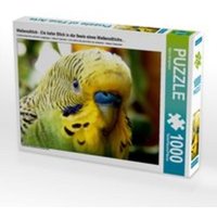 CALVENDO Puzzle Wellensittich - Ein tiefer Blick in die Seele eines Wellensittichs... 1000 Teile Lege-Größe 64 x 48 cm Foto-Puzzle Bild von Björn Berg von Calvendo