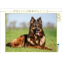 CALVENDO Puzzle Wunderschöner Schäferhund Rüde 1000 Teile Lege-Größe 64x48cm Foto-Puzzle für glückliche Stunden CALVENDO Puzzle Wunderschöner Schäferhund Rüde 1000 Teile Lege-Größe 64x48cm Foto-Puzzle für glückliche Stunden von Calvendo