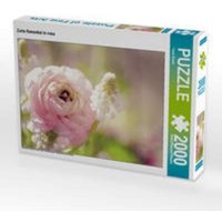 CALVENDO Puzzle Zarte Ranunkel in rosa 2000 Teile Lege-Größe 90 x 67 cm Foto-Puzzle Bild von Tanja Riedel CALVENDO Puzzle Zarte Ranunkel in rosa 2000 Teile Lege-Größe 90 x 67 cm Foto-Puzzle Bild von Tanja Riedel von Calvendo