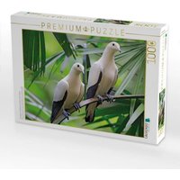 CALVENDO Puzzle Zweifarben Fruchttaube, ein Paar auf einem Baum 1000 Teile Lege-Größe 64x48cm Foto-Puzzle für glückliche Stunden von Calvendo