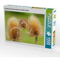 CALVENDO Puzzle Zwergmaus balanciert zwischen zwei wilden Karden. 1000 Teile Lege-Größe 64 x 48 cm Foto-Puzzle Bild von CALVENDO CALVENDO Puzzle Zwergmaus balanciert zwischen zwei wilden Karden. 1000 Teile Lege-Größe 64 x 48 cm Foto-Puzzle Bild von CALVENDO von Calvendo