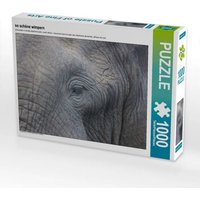 CALVENDO Puzzle begegnung im tembe elephant park, südafrika 1000 Teile Lege-Größe 64x48cm Foto-Puzzle für glückliche Stunden von Calvendo