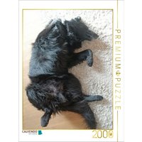 CALVENDO Puzzle dem Hund gehts gut 2000 Teile Lege-Größe 90x67cm Foto-Puzzle für glückliche Stunden CALVENDO Puzzle dem Hund gehts gut 2000 Teile Lege-Größe 90x67cm Foto-Puzzle für glückliche Stunden von Calvendo