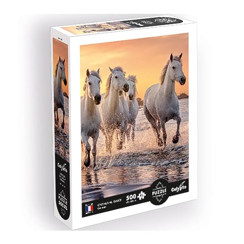 Calypto 3907353 Weiße Pferde, 500 Teile XL-Puzzle mit Soft-Touch, große Puzzleteile mit samtiger Oberfläche, für Erwachsene und Kinder ab 8 Jahren, Pferd, Sonnenuntergang, Strand Calypto 3907353 Weiße Pferde, 500 Teile XL-Puzzle mit Soft-Touch, große Puzzleteile mit samtiger Oberfläche, für Erwachsene und Kinder ab 8 Jahren, Pferd, Sonnenuntergang, Strand von Sentosphere