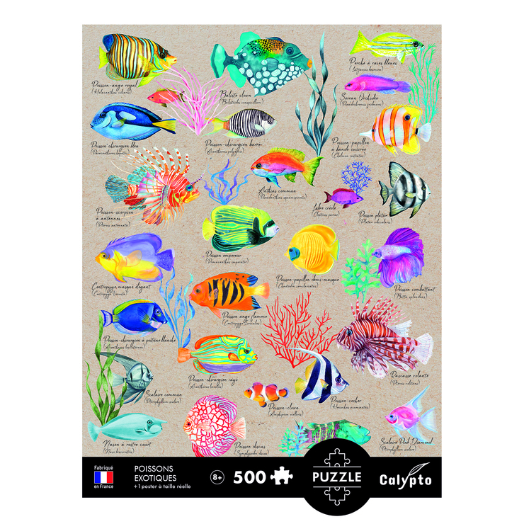 Calypto Exotischer Fisch 500 Teile Puzzle Calypto-7314 von Calypto